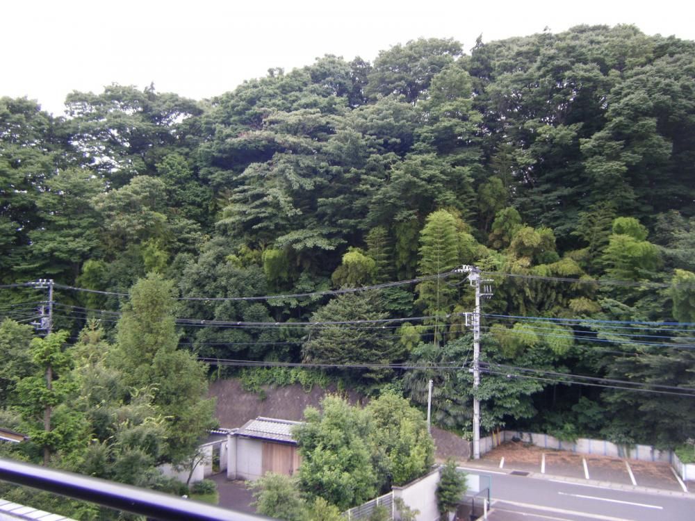 �y���]�z�@