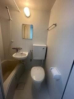 �y�g�C���z�@