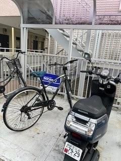 �y���̑����L�����z�@