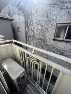 �y�o���R�j�[�z�@