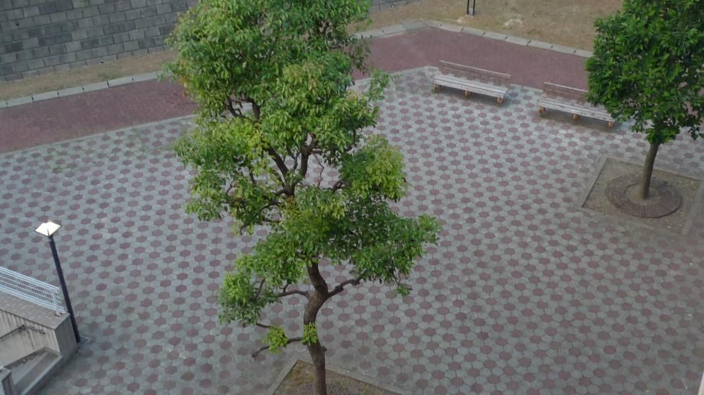 �y���Ӂz�@