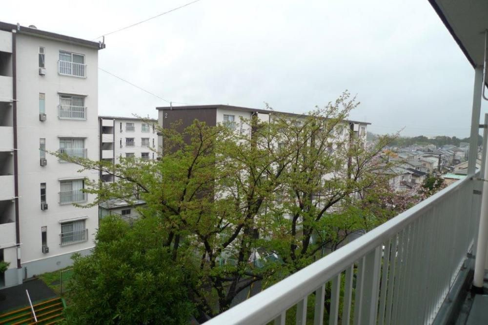 �y���]�z�@