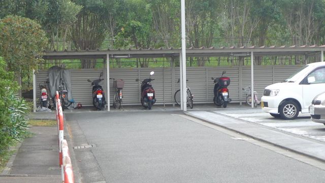 �y���̑����L�����z�@