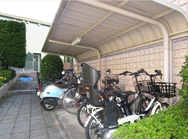 �y���̑����L�����z�@