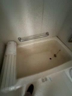 �y�o�X�z�@