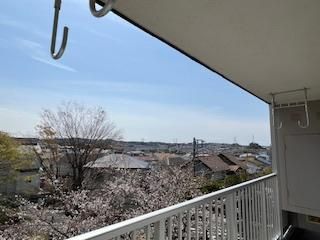 �y���]�z�@