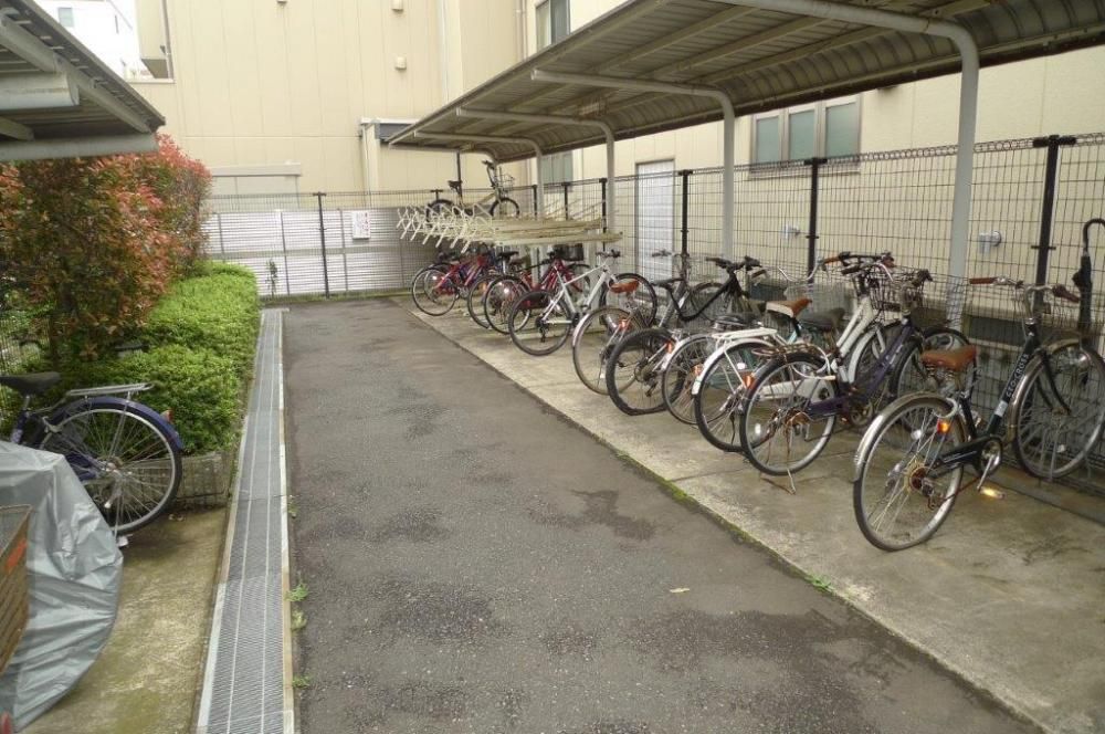 �y���̑����L�����z�@