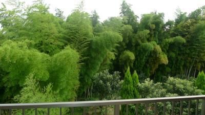 �y���]�z�@