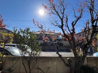 y]z@
