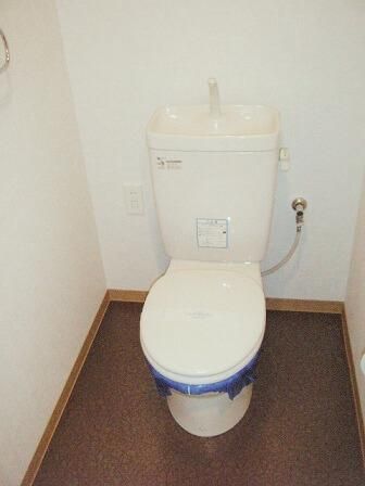 �y�g�C���z�@