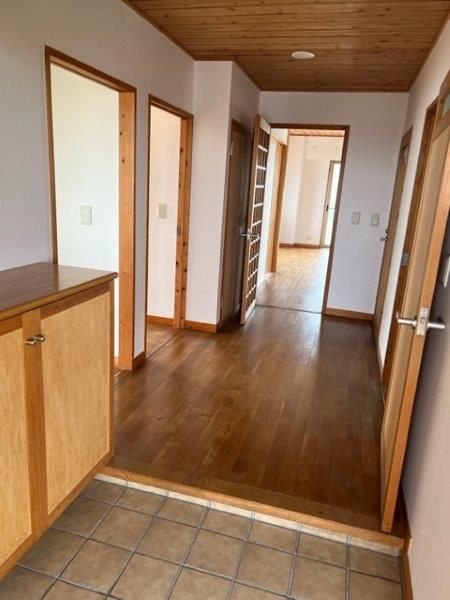 �y���ցz�@