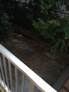 y]z@