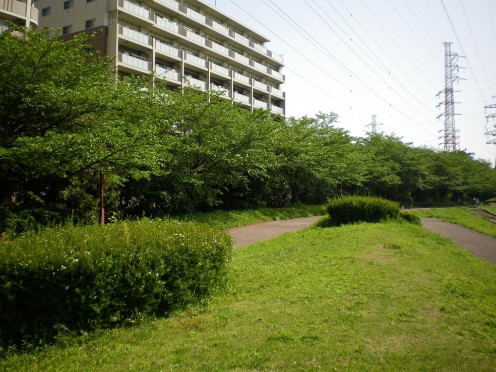 �y���Ӂz�@