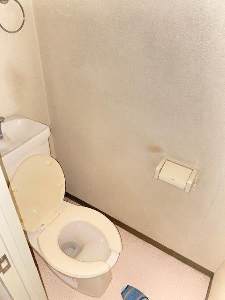 �y�g�C���z�@