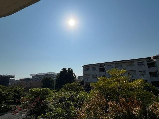 �y���]�z�@